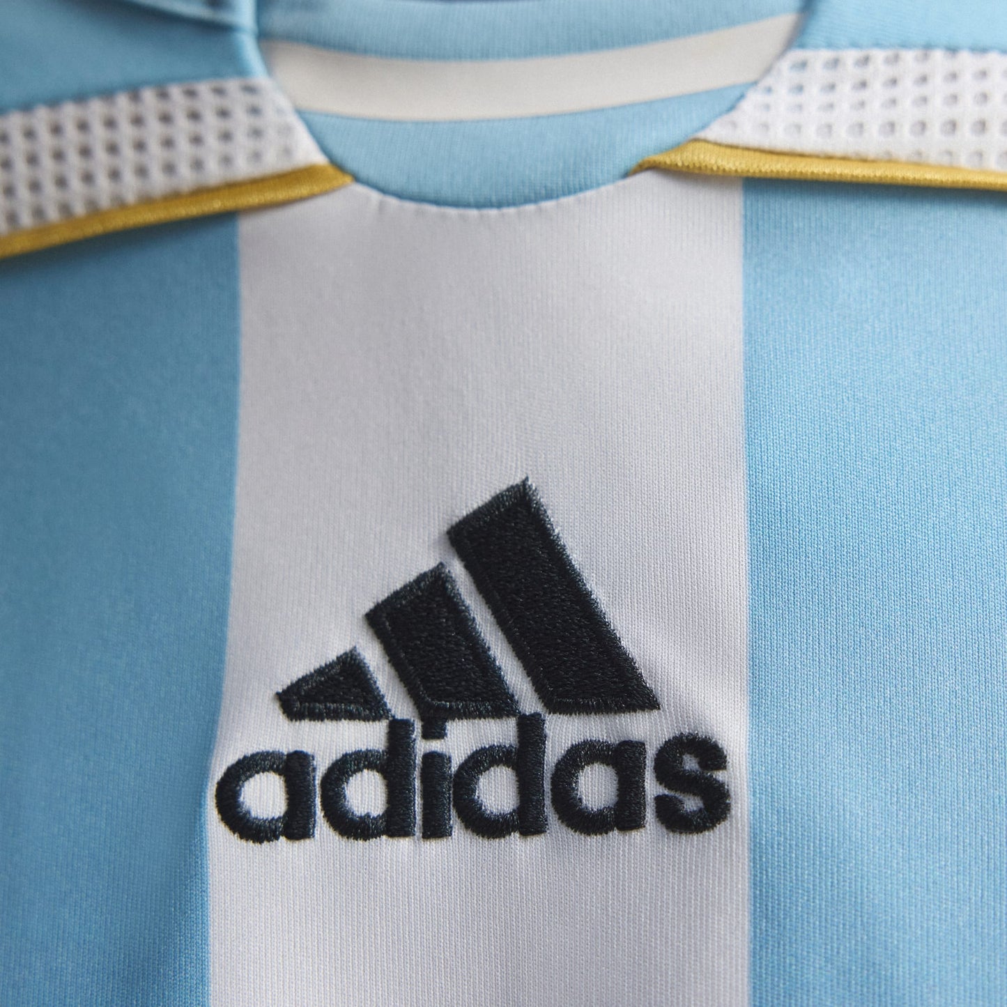 Camiseta Argentina Titular 2006