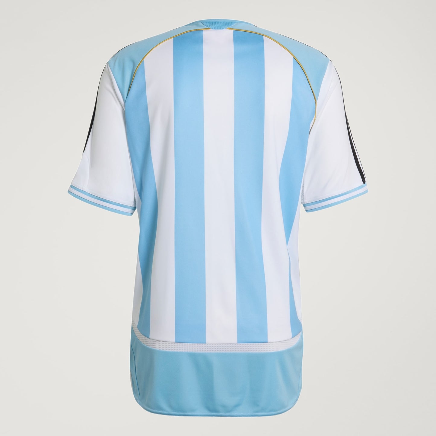 Camiseta Argentina Titular 2006