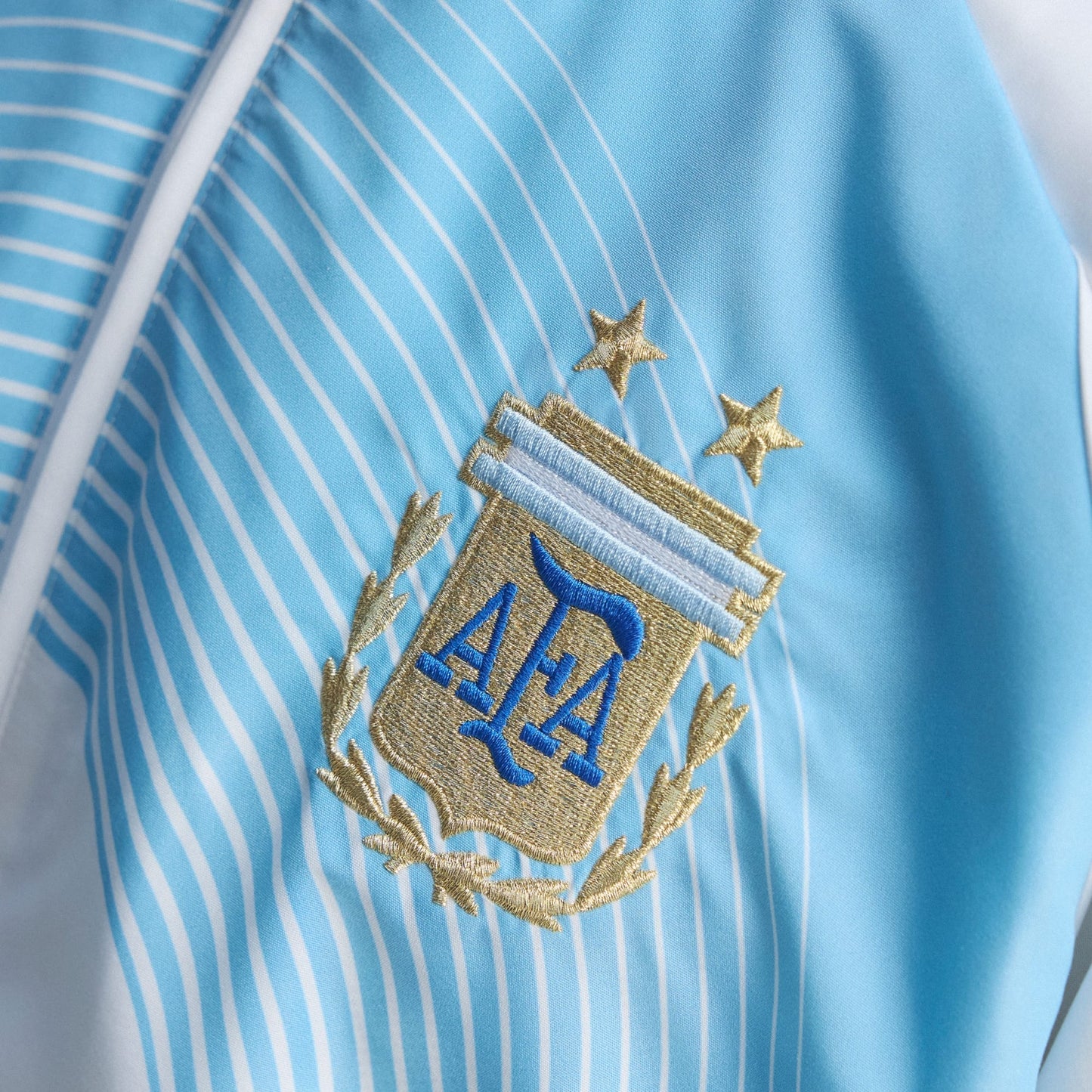 Campera Argentina Retro 2006
